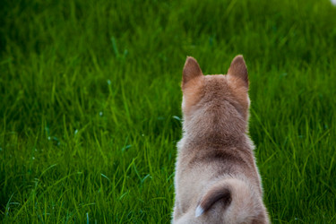 Similar image 668156