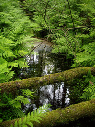 Similar image 668238