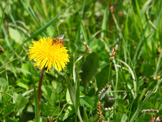 Similar image 668315