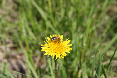 Similar image 668318