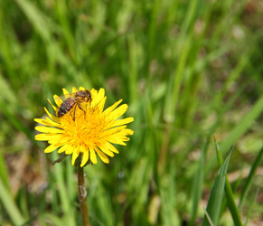 Similar image 668319