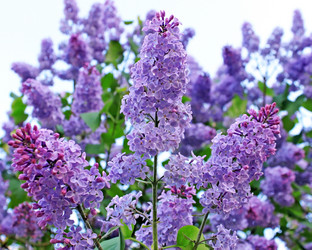 Similar image 668362