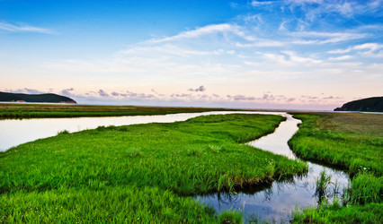 Similar image 668432