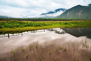 Similar image 668436