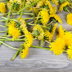 Similar image 668445