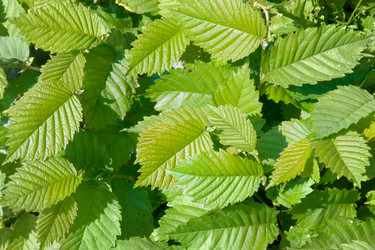 Similar image 668492