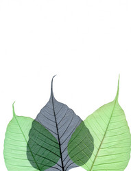 Similar image 668493