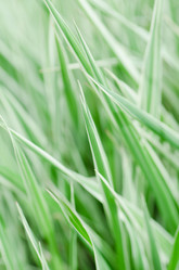 Similar image 668503