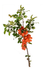 Similar image 668733