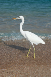 Similar image 668765