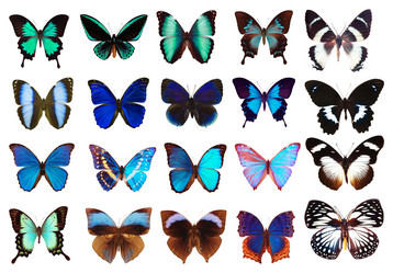 Similar image 668822