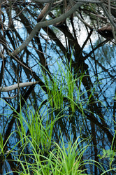 Similar image 668860