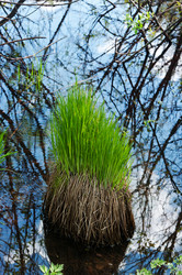 Similar image 668862