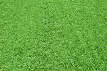 Similar image 668890