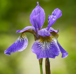 Similar image 668956