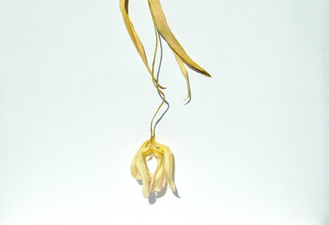 Similar image 668958