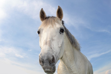 Similar image 668963