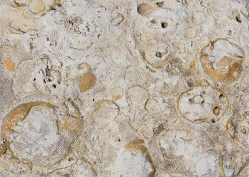 Similar image 668974