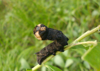 Similar image 668977