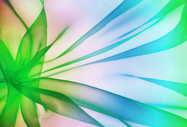 Similar image 668983