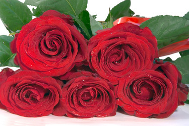 Similar image 668986