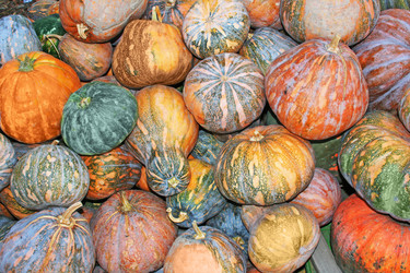 Similar image 668987