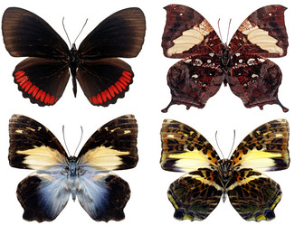 Similar image 668992