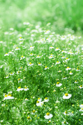 Similar image 669010