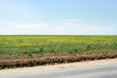 Similar image 669014