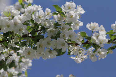 Similar image 669082