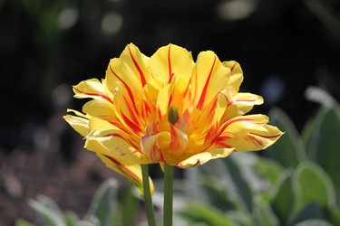 Similar image 669083