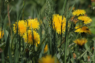 Similar image 669084