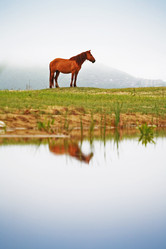 Similar image 669087