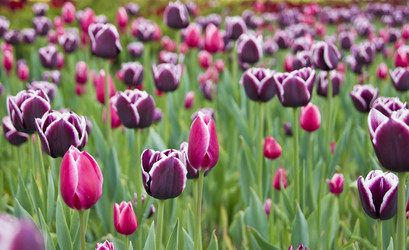 Similar image 669099