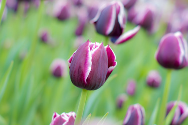 Similar image 669100