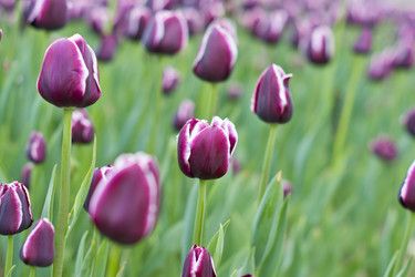 Similar image 669101