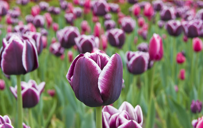 Similar image 669104