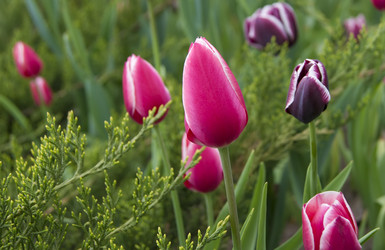 Similar image 669106