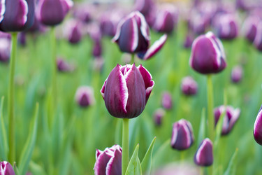 Similar image 669107