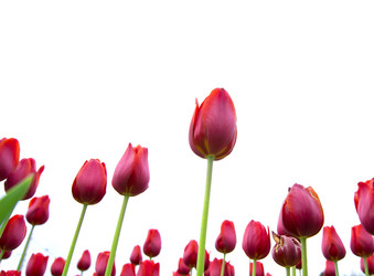 Similar image 669109