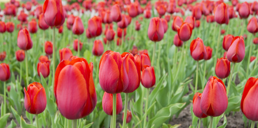 Similar image 669111