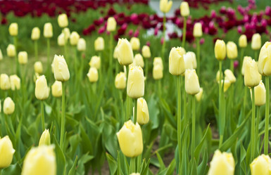 Similar image 669120