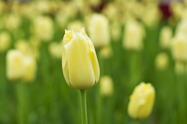 Similar image 669125