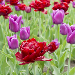 Similar image 669126