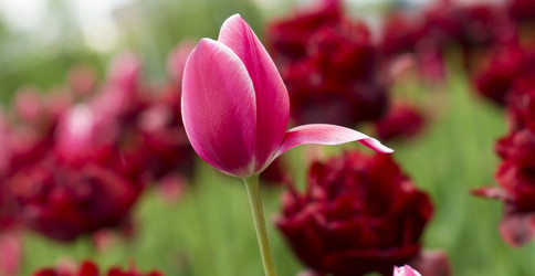 Similar image 669127