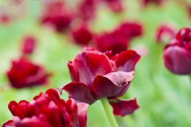 Similar image 669130