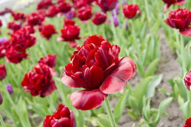 Similar image 669133