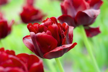 Similar image 669134