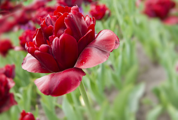 Similar image 669135