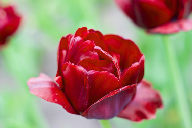 Similar image 669136